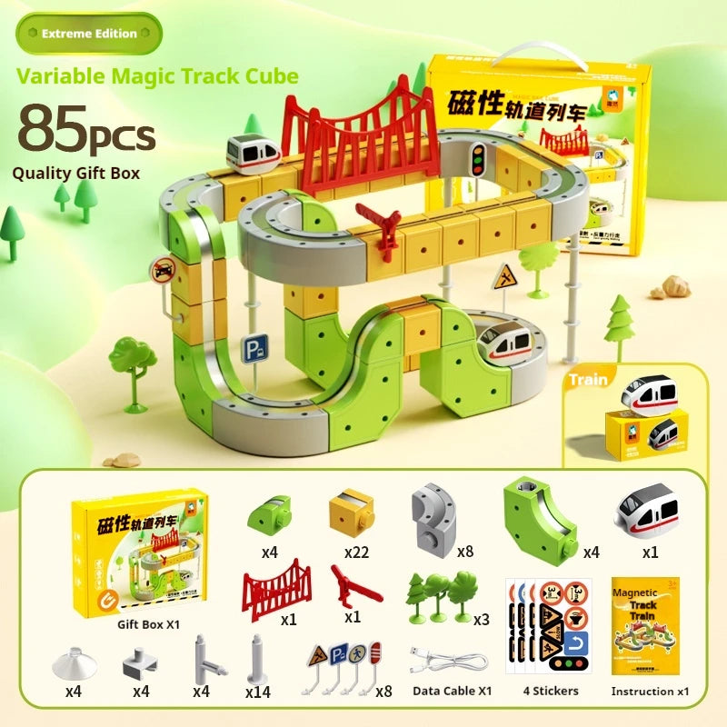 Evolving Magnetic Train